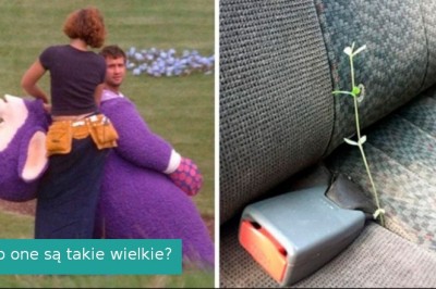 30 zdjęć bez kontekstu, które pozostawiają więcej pytań niż odpowiedzi