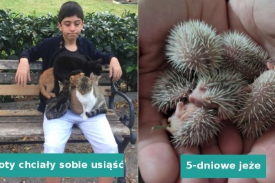 18 zdjęć czystej radości, które rozjaśnią każdy pochmurny dzień