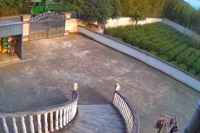 Niespodziewany gość na podwórku robi spore zamieszanie 