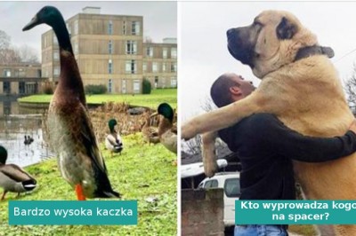 16 osób, które natknęły się na absurdalnie duże rzeczy