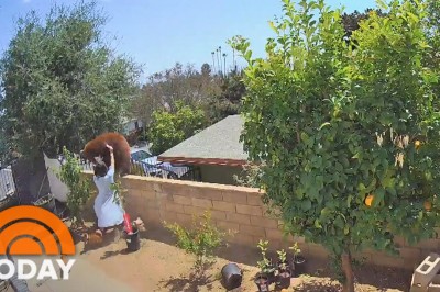 Nic dziwniejszego dzisiaj nie zobaczysz, czyli konkretna jazda na podwórku