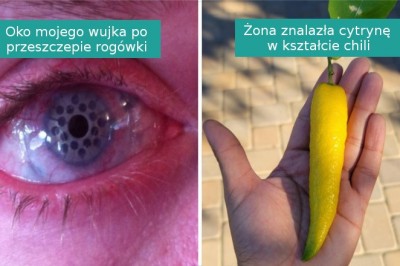 16 sytuacji, w których świat pokazuje nam swoje osobliwości