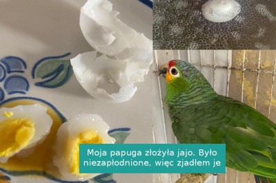 16 szczęściarzy, którzy zobaczyli niespodziewaną stronę zwyczajnych rzeczy