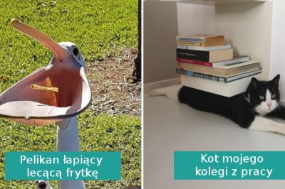 17 zdjęć, które zrobiono w najlepszym możliwym momencie 