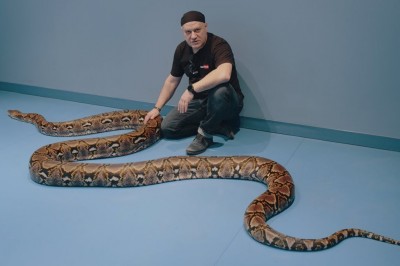 Codzienna porcja ciekawych i zabawnych filmików #477