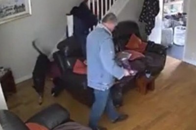 Gdyby nie monitoring to by nikt nie uwierzył w to co zrobił ten pies