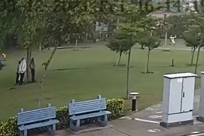 Oto dlaczego nie powinno się stawać pod drzewem w czasie burzy