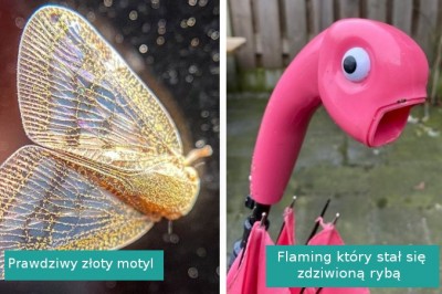 15 zaskakujących odkryć, które skłoniły ludzi do sięgnięcia po telefon