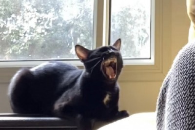 Codzienna porcja ciekawych i zabawnych filmików #483