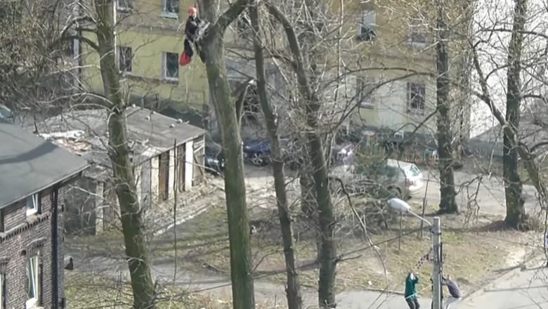 Kiedy Andrzej z kumplami zabiera się za ścinanie drzewa - Katowice 