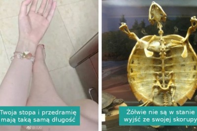 17 ciekawostek, które rzucają zupełnie nowe światło na pozornie zwyczajne rzeczy