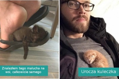 18 zdjęć słodziaków, które podziałają na ciebie lepiej niż ciepły koc