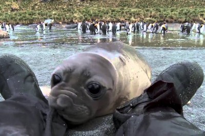 Codzienna porcja ciekawych i zabawnych filmików #486