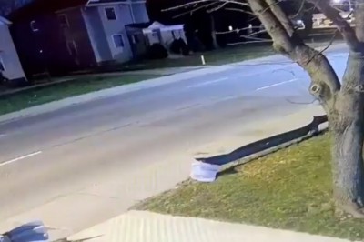 Kiedy chcesz się pozbyć drzewa sprzed domu, ale nie masz piły 