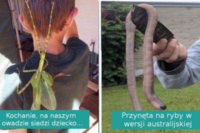 20 zdjęć pokazujących, że Australia to zupełnie inny, czasem straszny świat