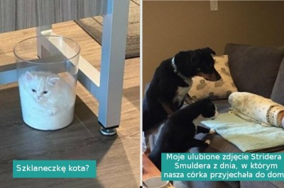 15 zdjęć, które rozgrzeją wasze serca lepiej niż ciepłe skarpetki