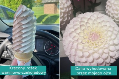 16 kojących zdjęć, które podziałają na twój mózg niczym balsam