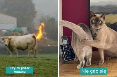 20 zdjęć, które warto zobaczyć choć raz w życiu