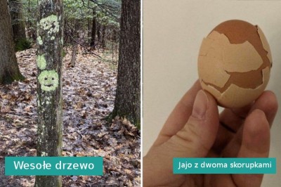 18 zdjęć pokazujących, że Matka Natura ma świetne poczucie humoru
