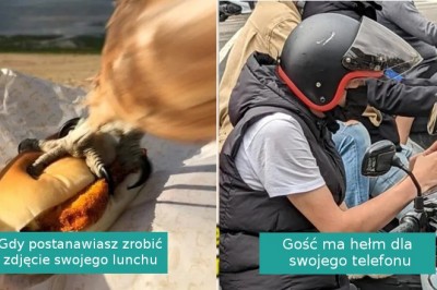 16 sytuacji, w których świat zaskoczył nas swoim poczuciem humoru