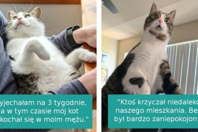 16 wrażliwych zwierzaków, z których wręcz wylewają się silne emocje