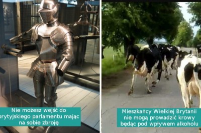 19 niecodziennych praw i zakazów które obowiązują w niektórych krajach