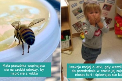 15 uroczych zdjęć, które budzą tylko pozytywne skojarzenia 