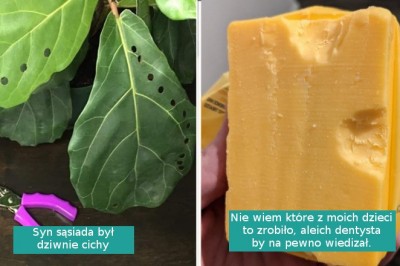 Pokaż mi że masz małe dzieci, nie mówiąc, że masz dzieci