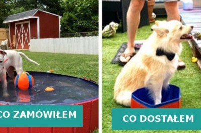 Te osoby zagrały w grę o nazwie zakupy w internecie i poległy z kretesem