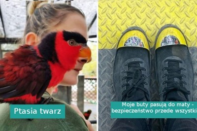 16 zdjęć pokazujących, że rzeczywistość bywa dziwniejsza od fikcji