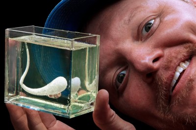 Codzienna porcja ciekawych i zabawnych filmików #525