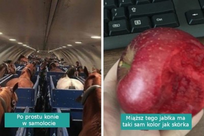 18 rzadkich zdjęć ukazujących pozornie „zwykłe rzeczy” w niezwykłym wydaniu 