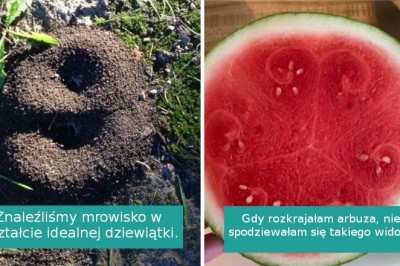 Galeria zdjęć tak perfekcyjnych, że aż trudno uwierzyć w ich autentyczność