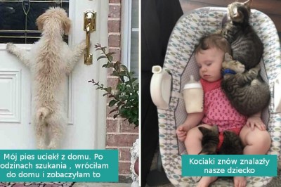 17 zwierzaków, które mogą poprawić twój nastrój w trudnym dniu