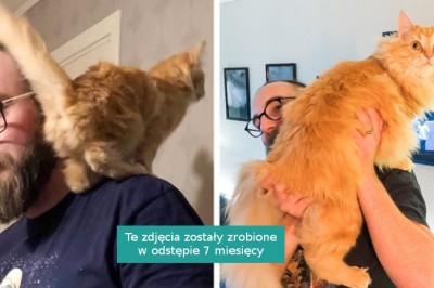 12 zwierzaków, które wyrosły na prawdziwych olbrzymów