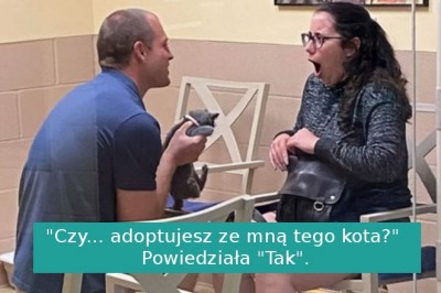 16 uroczych zdjęć zwierzaków, które znalazły swój nowy dom