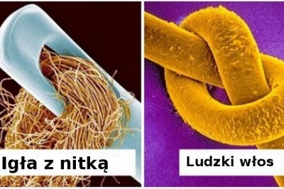 17 zwykłych rzeczy, które pod mikroskopem przemieniają się w cuda z innej planety