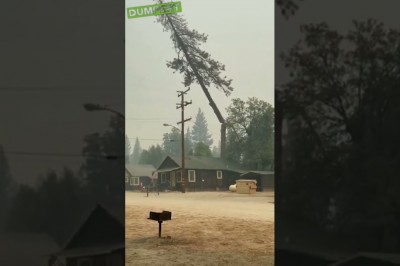 Chciał być bohaterem w swoim domu, a teraz nie ma domu