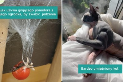 18 sytuacji, w których natura powaliła nas swoją unikalnością