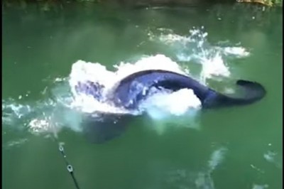 Kiedy  uwielbiasz wędkować i trafisz na rybę swojego życia