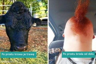 15 fascynujących zdjęć, które powstały całkowicie normalnie i bez użycia Photoshopa