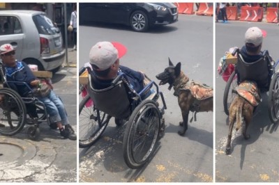 Codzienna porcja ciekawych i zabawnych filmików #562