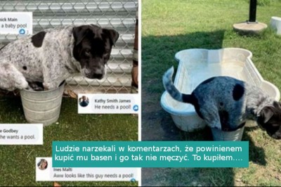 16 sytuacji, w których została podjęta próba, ale efekt okazał się mizerny