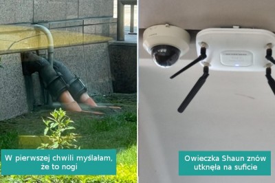 16 zdjęć, które sprawią, że przetrzesz oczy ze zdumienia