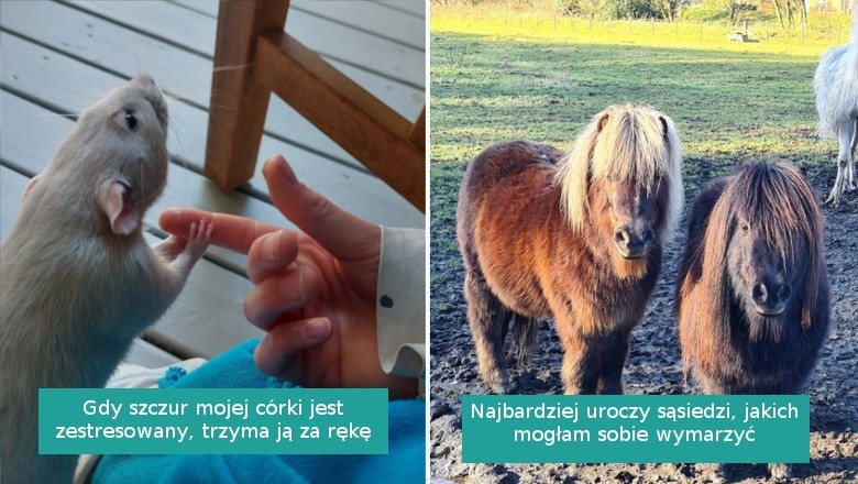 15 uroczych zdjęć, które chwycą cię za serce dawką pozytywnych emocji