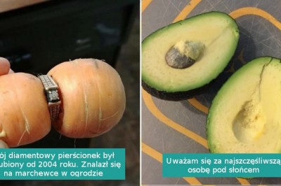 Galeria szczęściarzy, do których los uśmiechnął się niespodziewanie