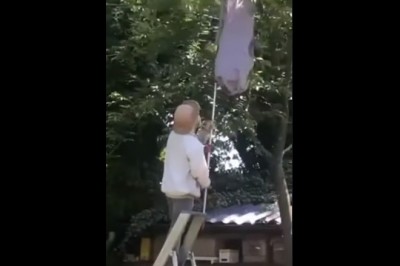 Kiedy chcesz sam usunąć gniazdo pszczół, ale mocno Ci nie idzie