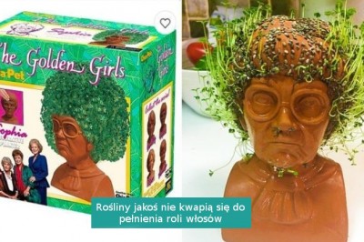 15 zakupów online, które niektórych doprowadziły do śmiechu, a innych do łez