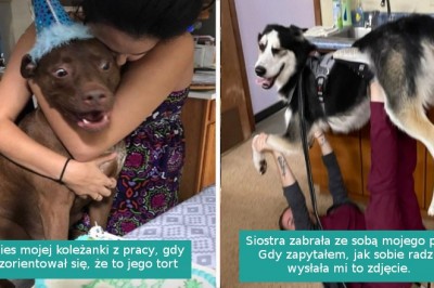 15 szczęściarzy, którzy znaleźli swoje czworonożne bratnie dusze