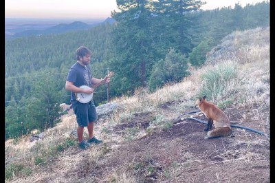 Codzienna porcja ciekawych i zabawnych filmików #584
